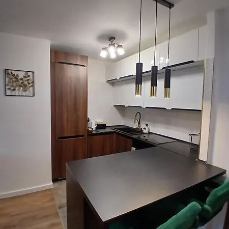 Apartment Cracow